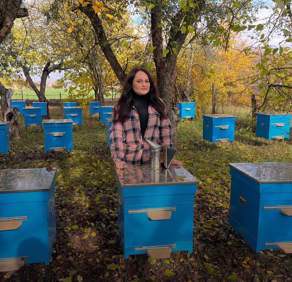 «Пасіка знищена, а на території досі тривають бойові дії». Як жінки-пасічниці будують бізнес в умовах війни