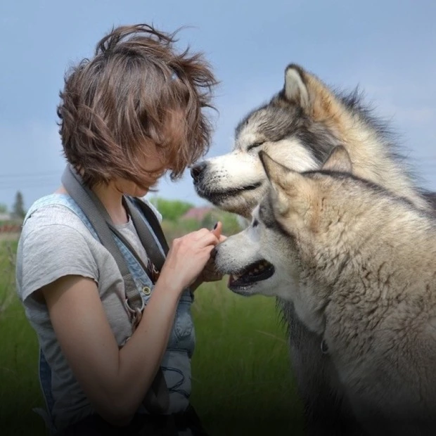 7 текстів The Village Україна про тварин, зоозахисників і pet-friendly культуру — Звірі у місті On The Village Україна
