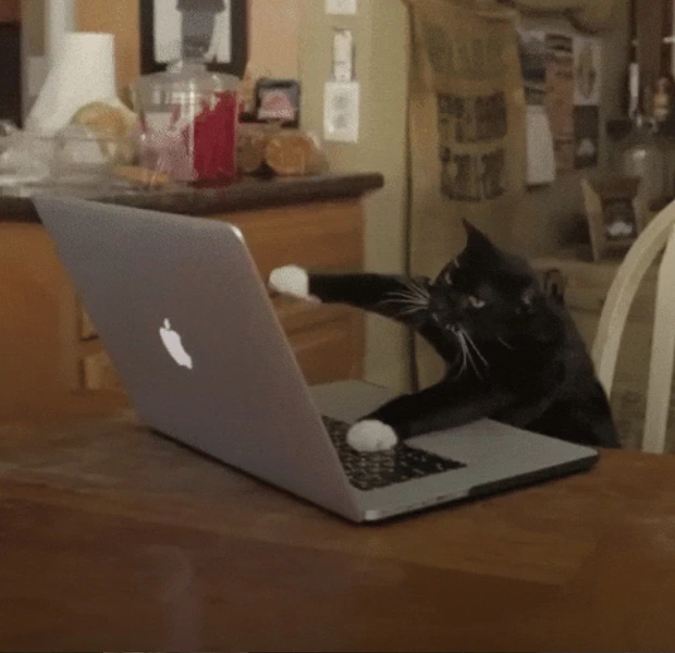 Працювати весь день у кав’ярні під час відключень світла – норм чи стрьом — Є питання. The Village Україна