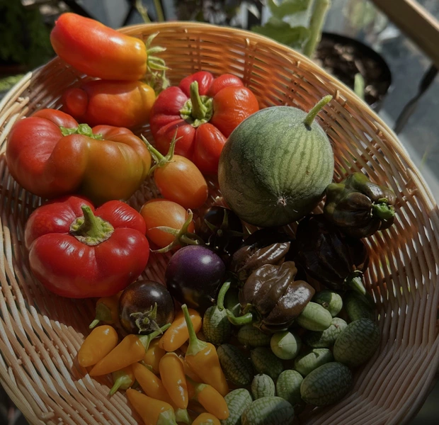 Що і як посадити на балконі, щоб улітку з’їсти салат — Дім. The Village Україна