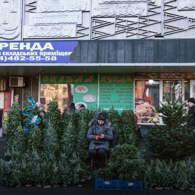 Чому варто здати ялинку на переробку, а не викинути в смітник?