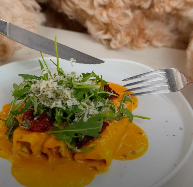 Що таке нутритивне харчування і чому підрахунок калорій не працює — Здорове харчування. The Village Україна