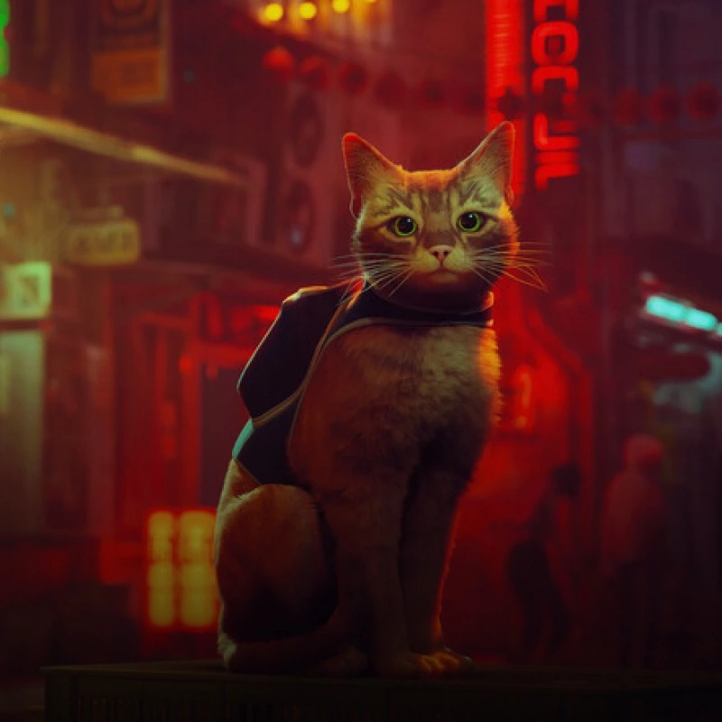 Усі обговорюють якусь гру про кота. Розповідаємо, за що ми полюбили Stray і як у неї зіграти