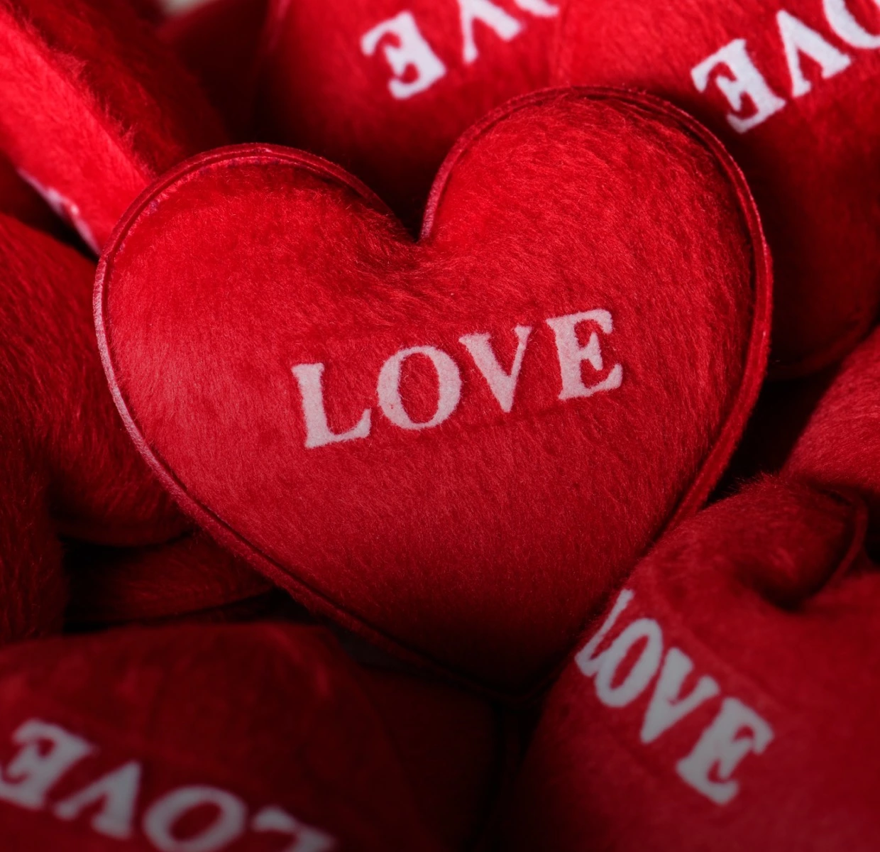 Плани на день закоханих у Києві: Veselka, два сольники Otoy й день тату від Gunia