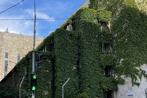 Верховний Суд остаточно підтвердив законність статусу памʼятки архітектури «Квітів України»