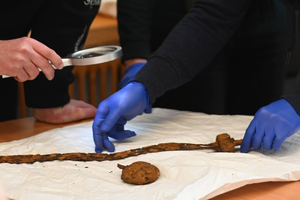 Біля Радомишля випадково знайшли рідкісний меч часів Київської Русі