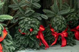 Як перевозити різдвяну ялинку в метро