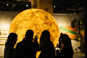 20 виставок листопада