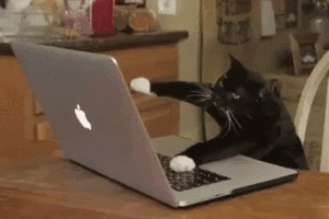 Працювати весь день у кав’ярні під час відключень світла – норм чи стрьом