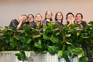 Кафе Hood на Шота Руставелі: сніданки, вініли і коктейлі про Київ