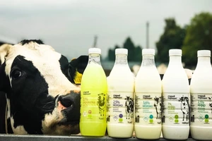 «Продукти ті самі, тільки дорожчі»: 6 міфів про органічне харчування