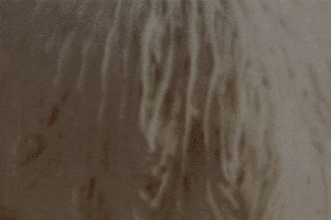 Функціональні гриби врятують від вигорання? Запитуємо в лікарів