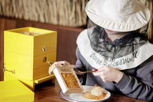 «Щоб кукуха не поїхала». Як працюють ресторани в Харкові, Дніпрі, Сумах і Запоріжжі