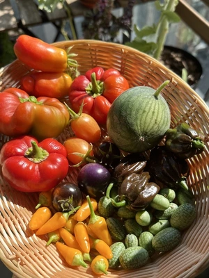 Що і як посадити на балконі, щоб улітку з’їсти салат