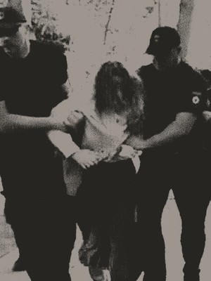 Чи можна було врятувати дерева на Теремках і яка альтернатива? Запитали в активістів і КМДА