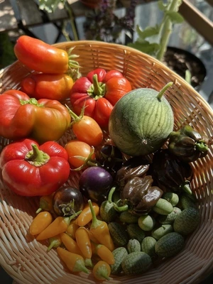 Що і як посадити на балконі, щоб улітку з’їсти салат